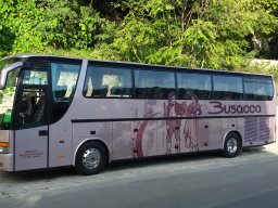 busacca_viaggi_noleggio_autobus_tours__0.92808532714844