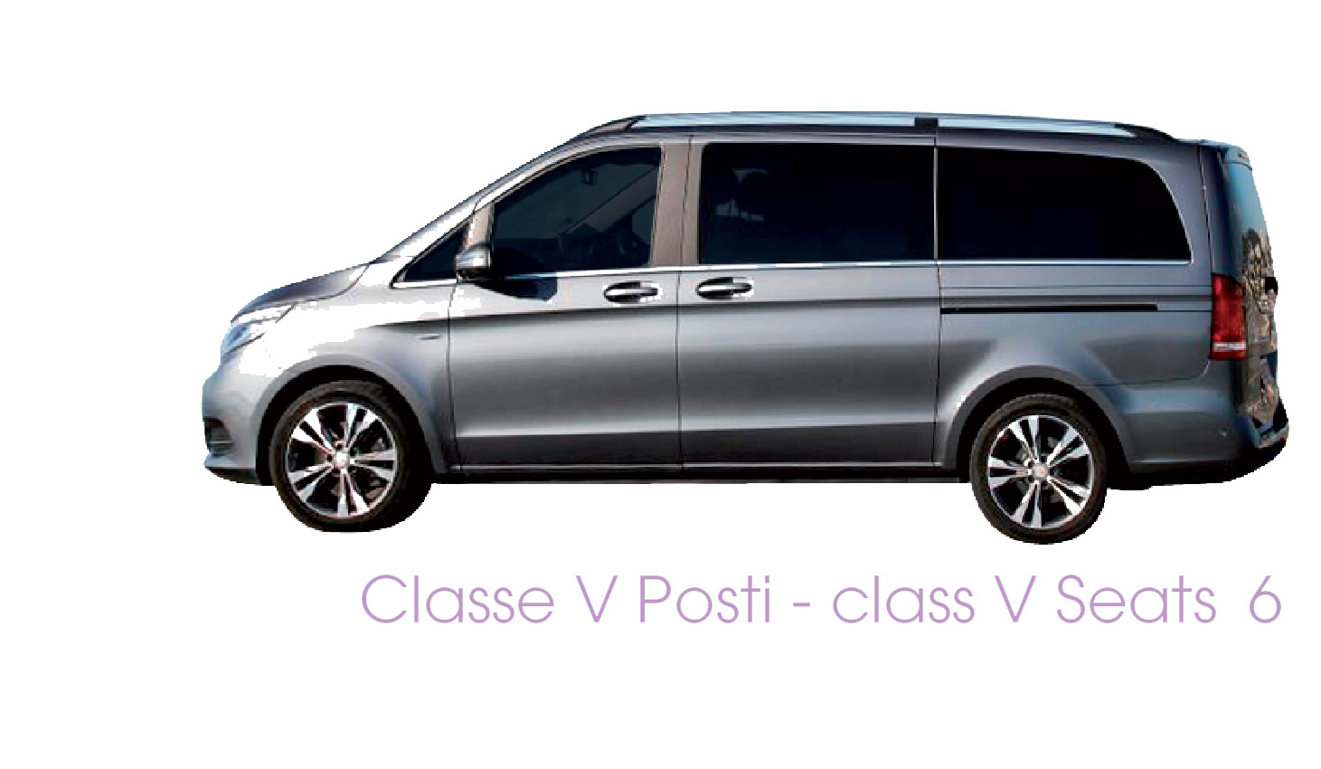 busacca bus flotta minibus mercedes classe v