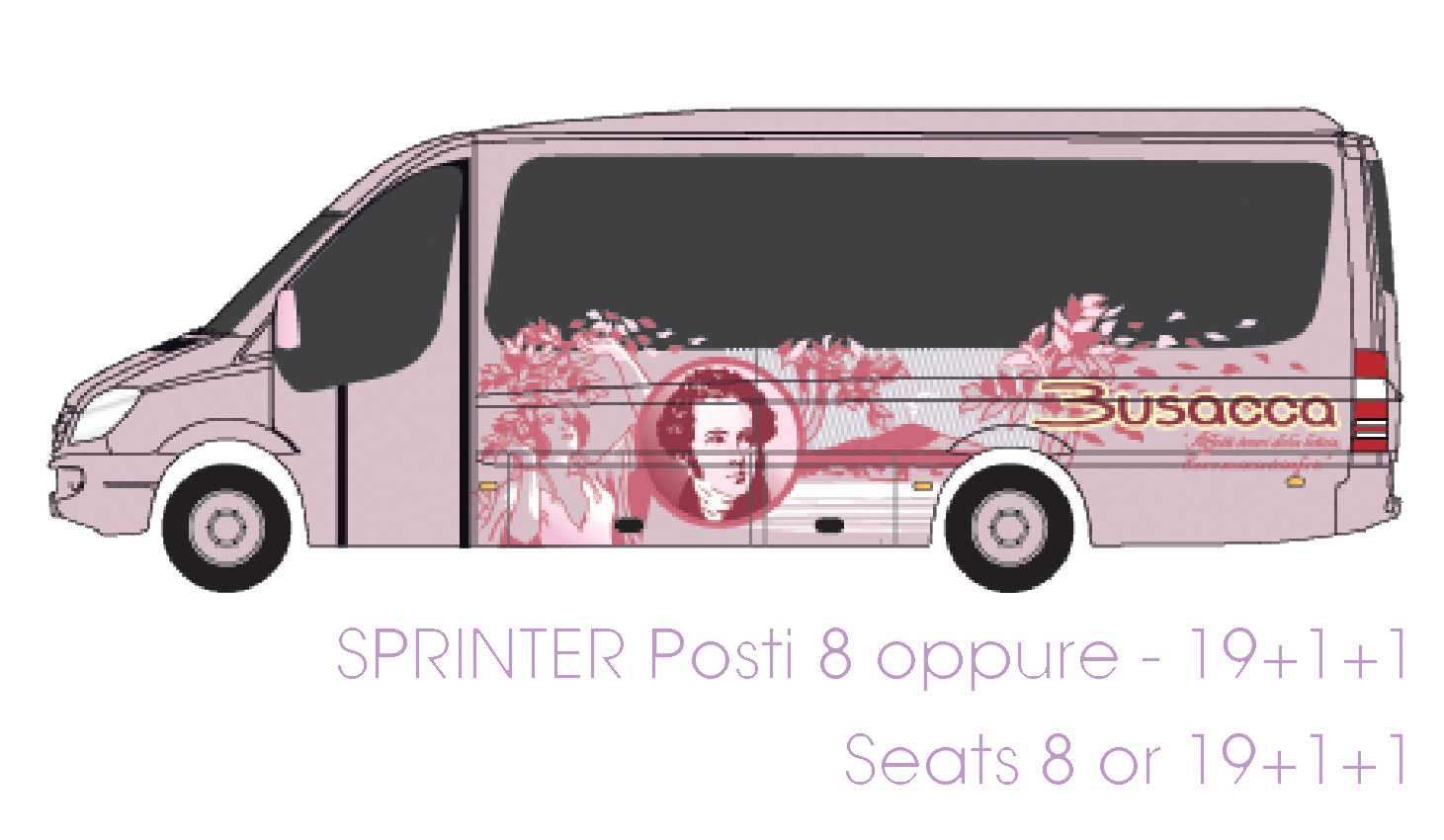 busacca bus flotta minibus mercedes sprinter